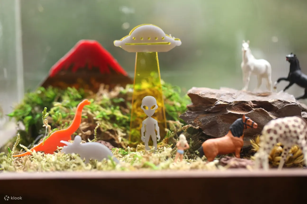 Bonart - 青苔生态盆景 | 多肉植物盆景 | 苔玉 | 板植蕨类 | 中环大馆